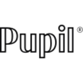 Pupil